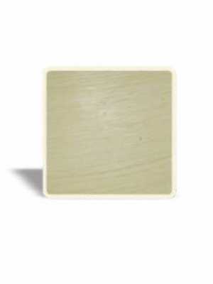 Econic Palm Leaf Square Classic Plate 2"x2" (6cm x 6cm)