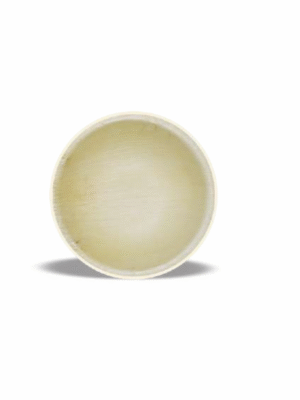 Econic Palm Leaf Round deep Bowl 7" (18cm) depth 50mm