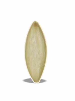 Econic Palm Leaf Small boat Shape 8"x4" (20cm x 10cm)
