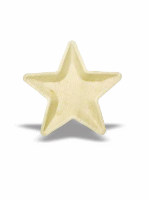 Econic Palm Leaf Star Shape Plate 10"