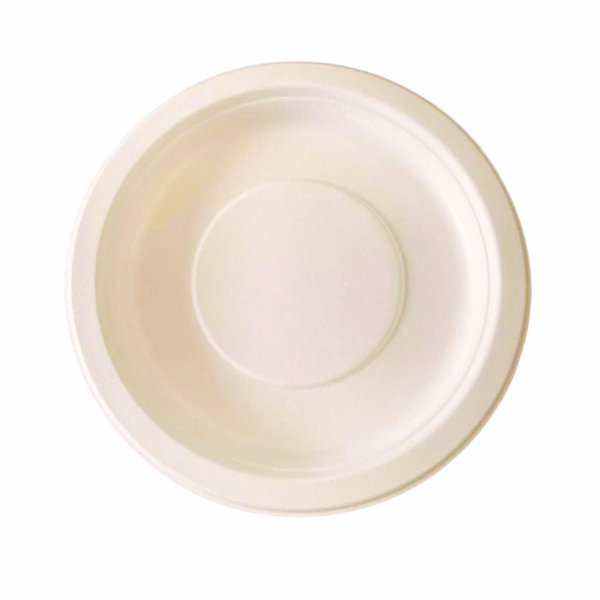 ENSB021 Econic 11'' Round Plate | No compartments 25 Pcs Pack